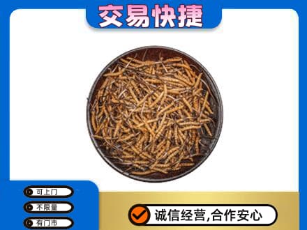 延边龙井市礼品回收虫草.jpg
